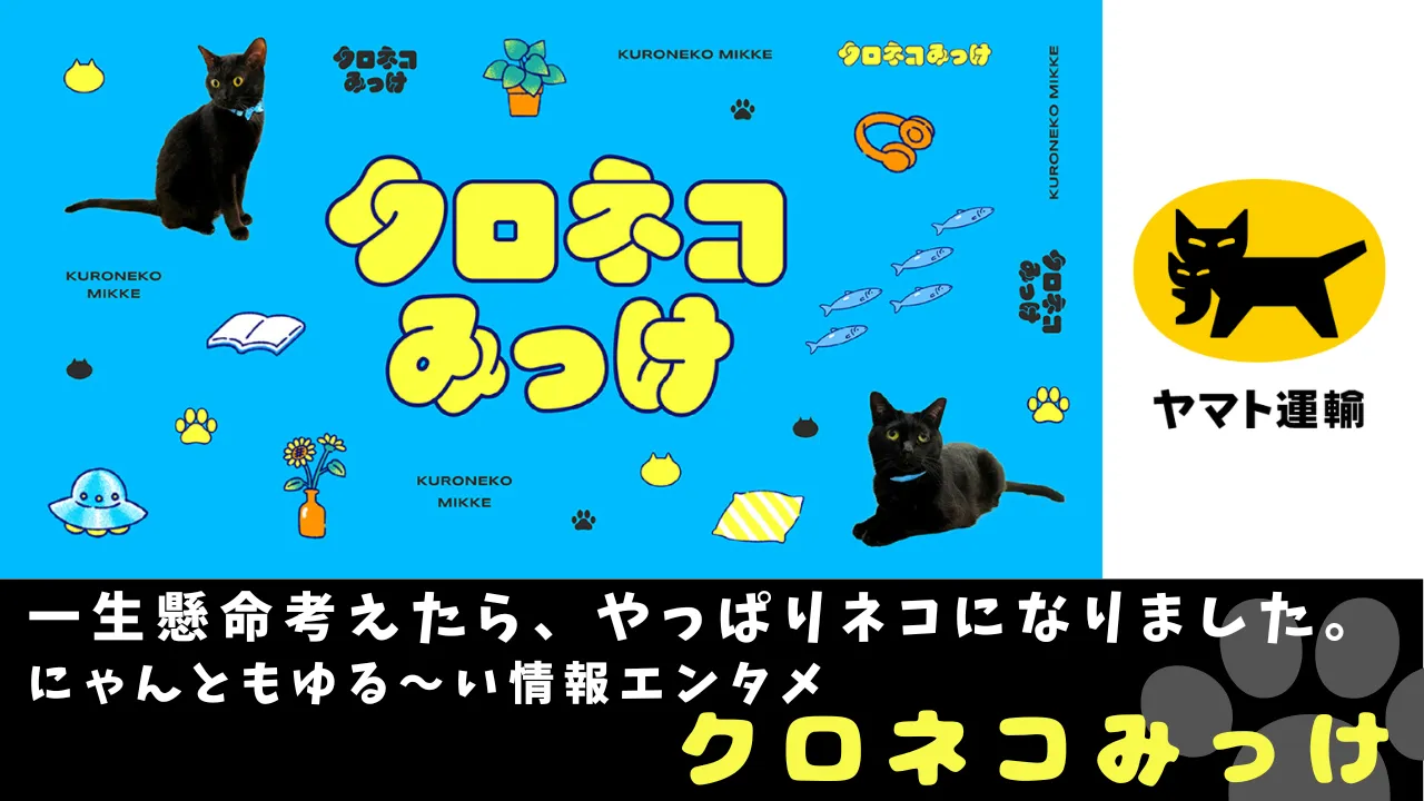 一生懸命考えたら、やっぱりネコになりました。にゃんともゆる〜い情報エンタメ「クロネコみっけ」